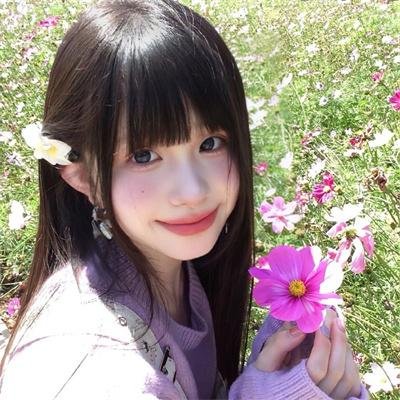 天山的红花
